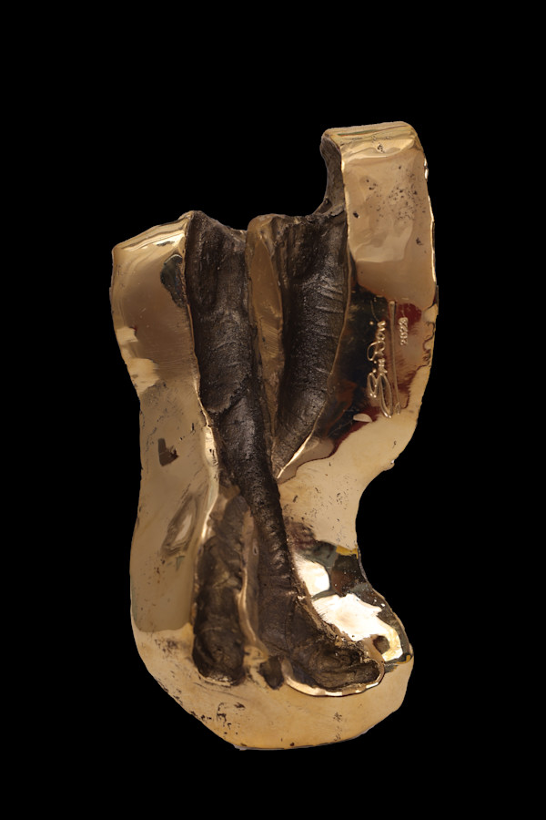 And The Day Came by Siri Devi Khandavilli