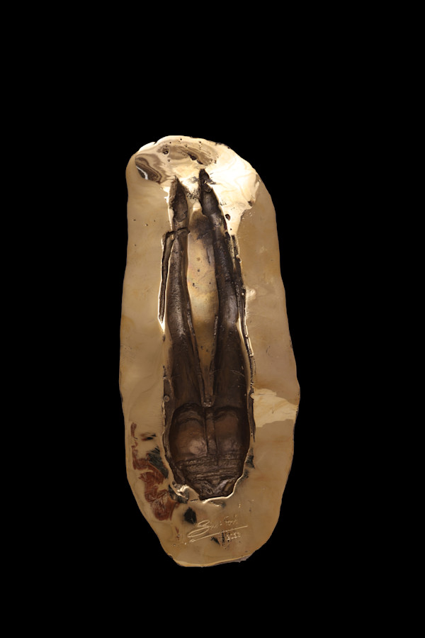 And The Day Came by Siri Devi Khandavilli