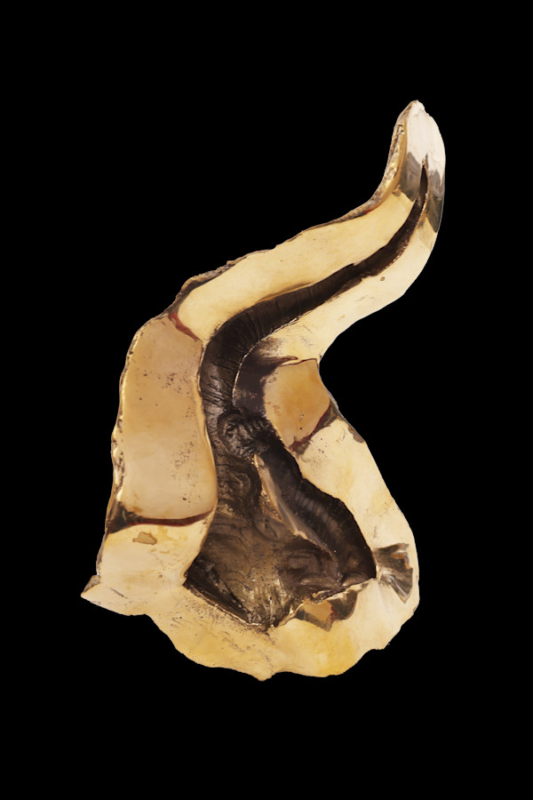 And The Day Came by Siri Devi Khandavilli