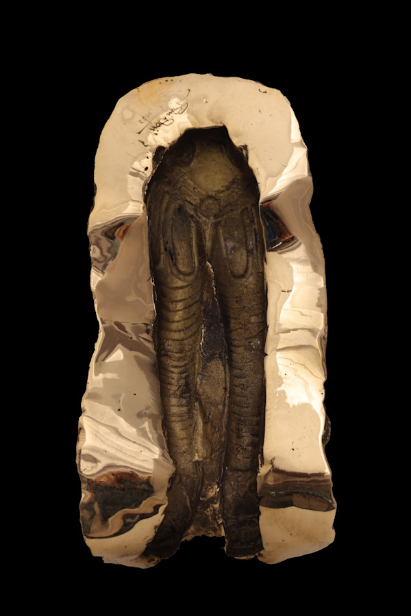 And The Day Came by Siri Devi Khandavilli