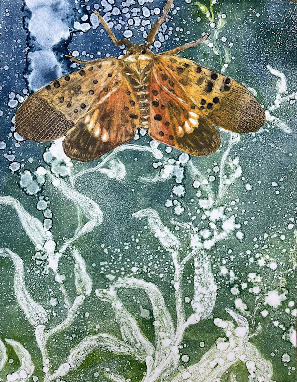 Lantern Fly V1 by Theresa Giammattei