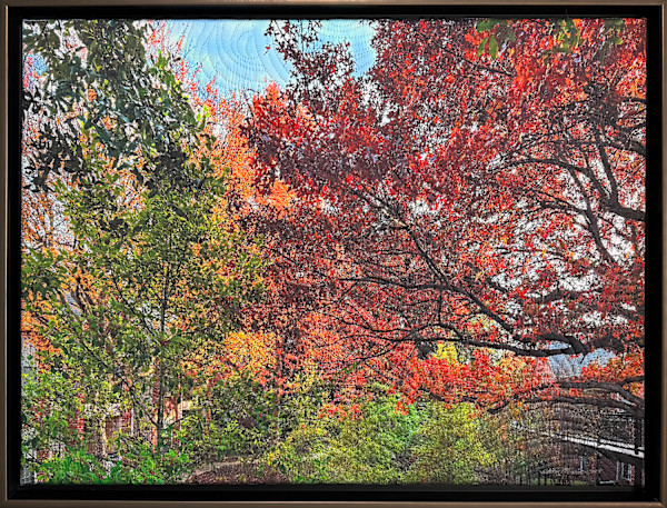 Innuendo 22- Preston Place Autumn by Marilyn Henrion