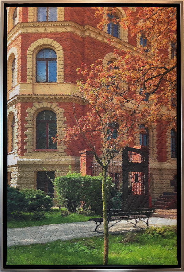 Tree: Lodz, Poland by Marilyn Henrion, Image 1.
