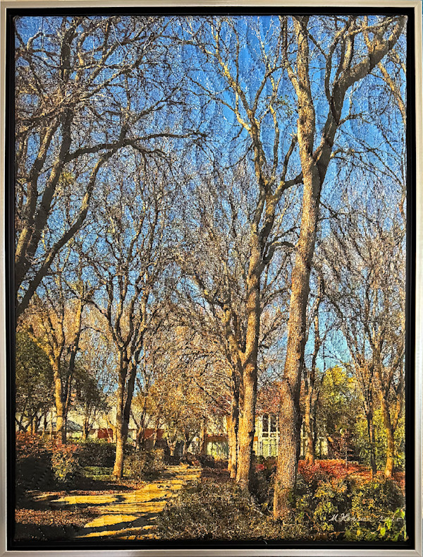 Winter Sunlight- Addison Texas by Marilyn Henrion