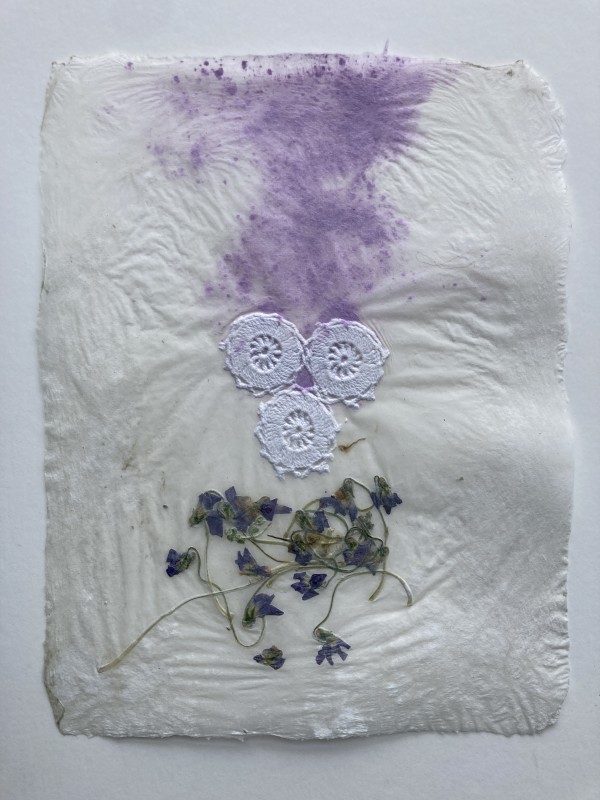 Flower Studies by Ann Marie Kennedy