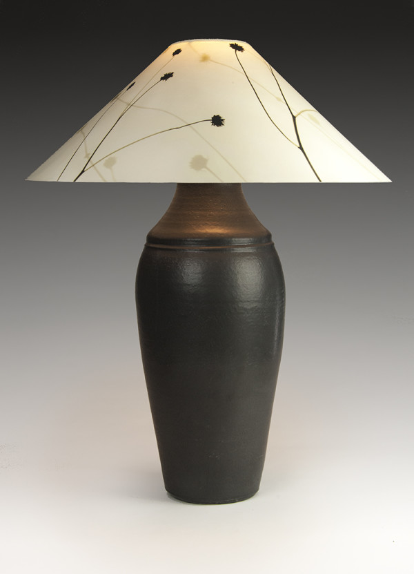 Lamp with black base (Shadowgraph #6) by Stephen Procter