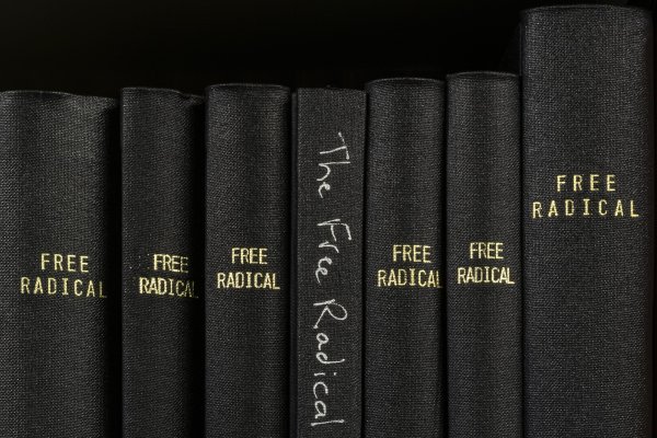 The Free Radical by Mickey Smith
