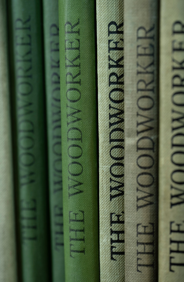 THE WOODWORKER by Mickey Smith