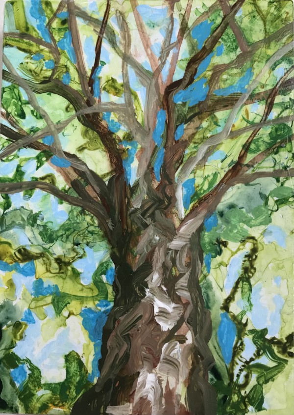 Breath of Trees Study 4 by C. Clinton