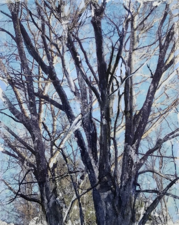 Breath of Trees Study Winter