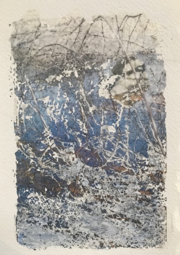 Flooded Brook Study by C. Clinton