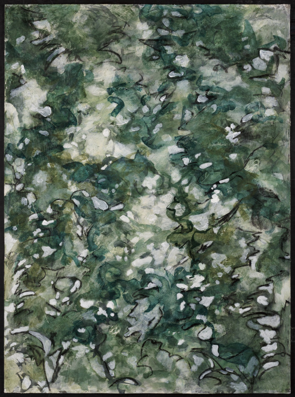 Summer Shadows 2 by C. Clinton