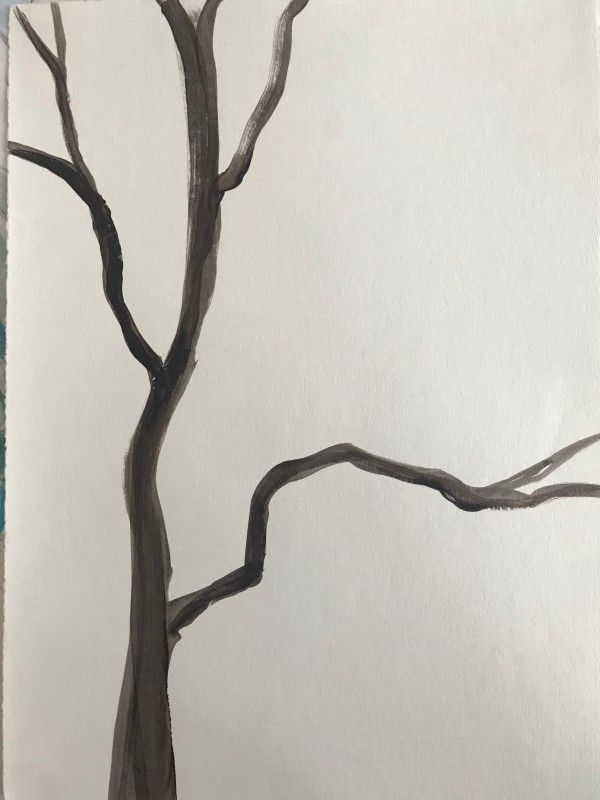 Tree Study