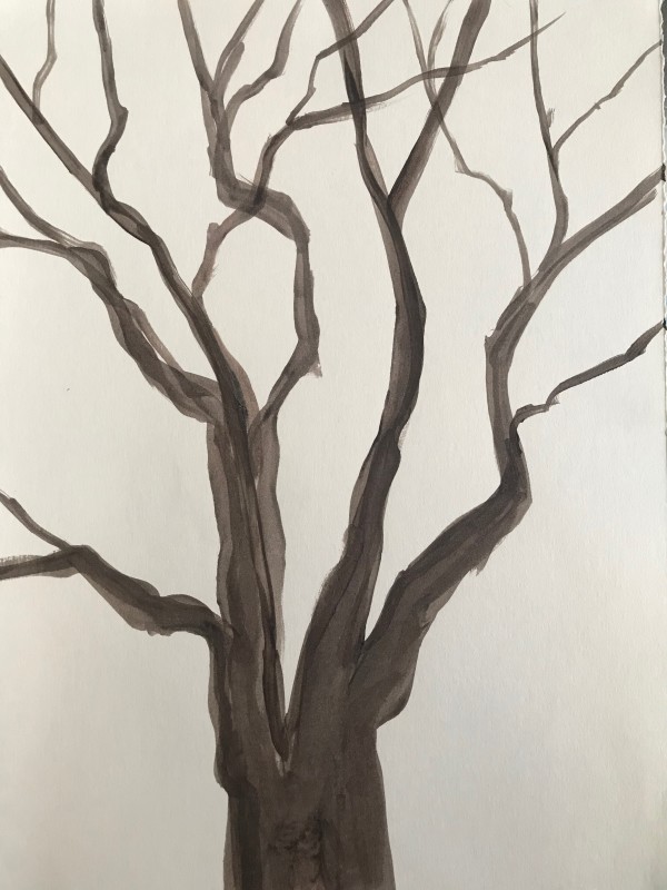 Tree Study Mixed Media by C. Clinton