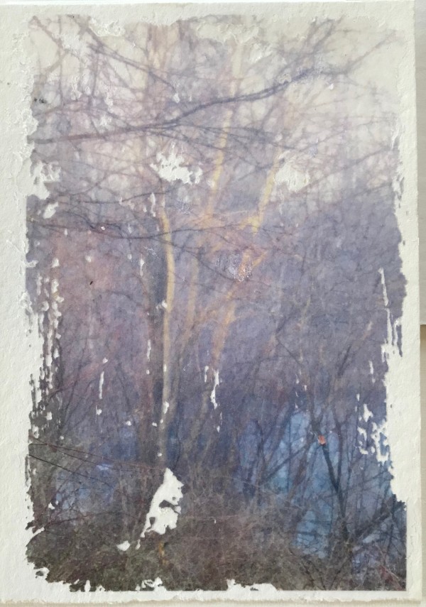 Treelight Spring Study 2 by C. Clinton