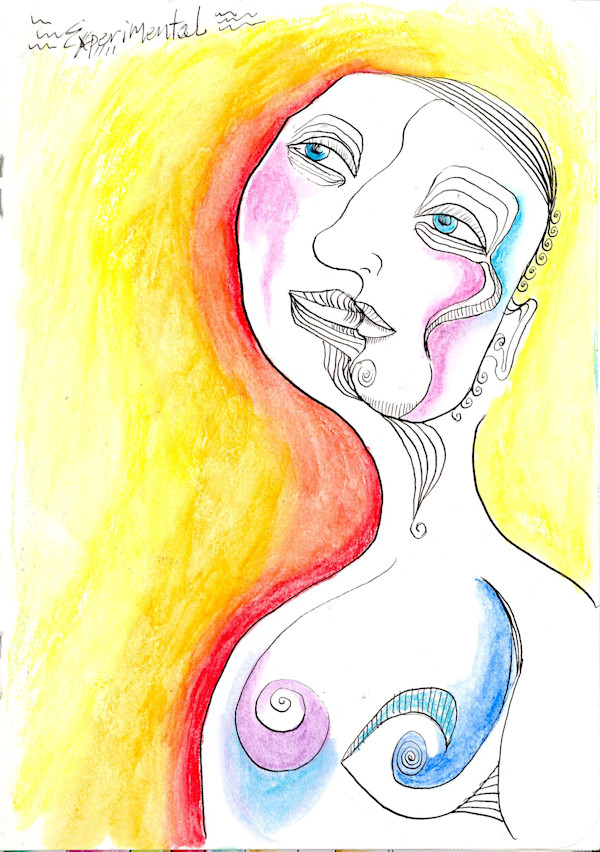Lost Journal: Experimental by Evelyn Dufner