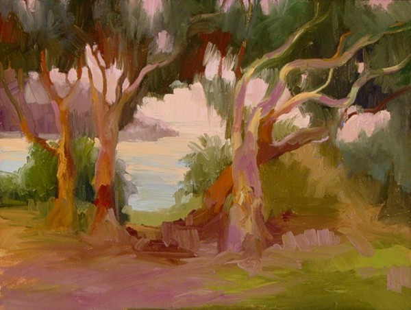 "Catalina Eucalyptus"