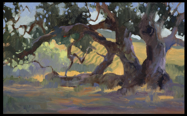 "Vineyard Oak"
