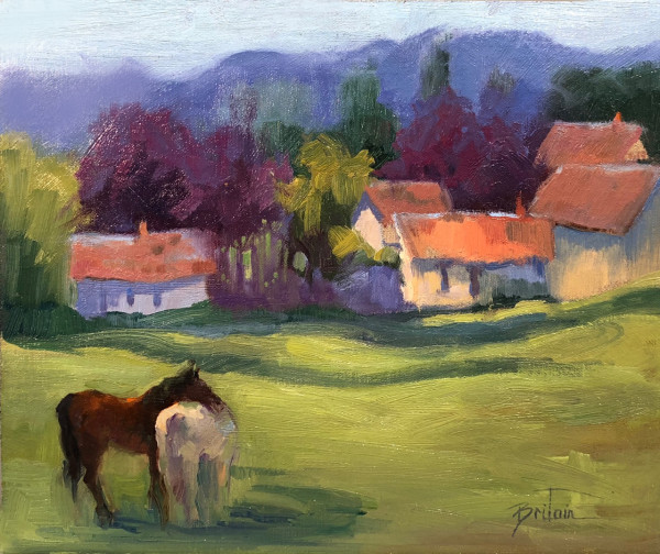 Horses in France