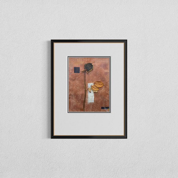 Passage by Annie Tull