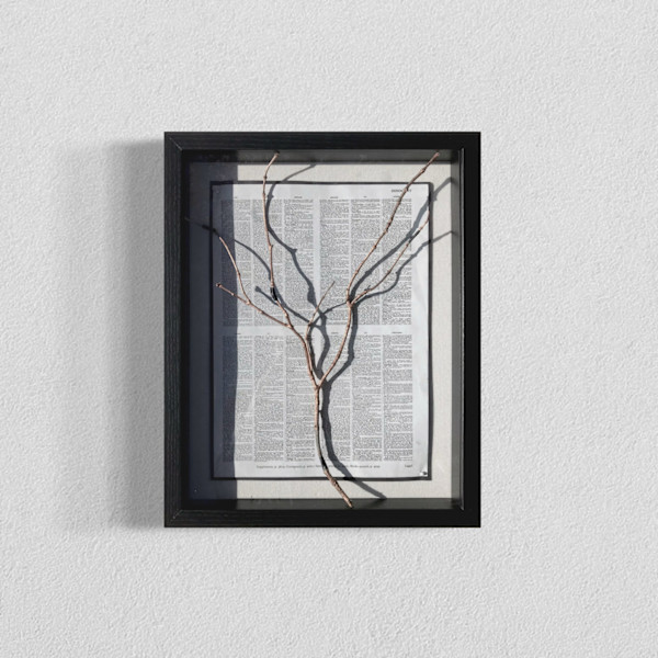 The Solitude of Strength by Annie Tull