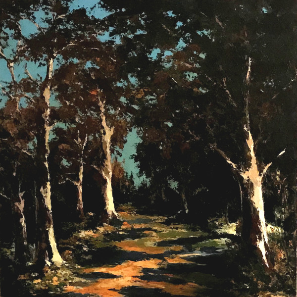 Tree Shadows by Thomas Easley, Image 1.
