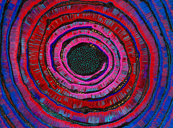 A Womb by Neetu Singhal