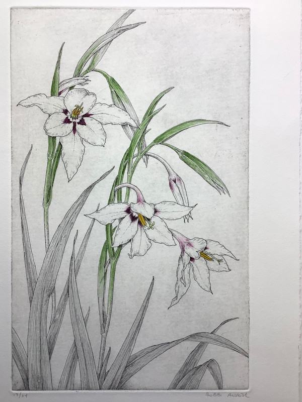 Acidanthera by Bobbi Angell