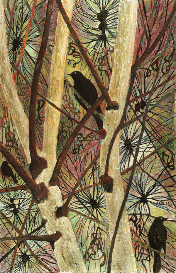 Aspen Pine Blackbird by Julie C Baer