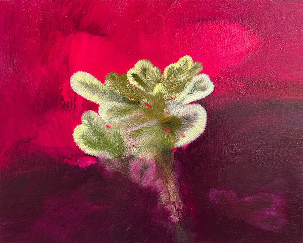 Cactus 2 by Resa Blatman, Image 1.