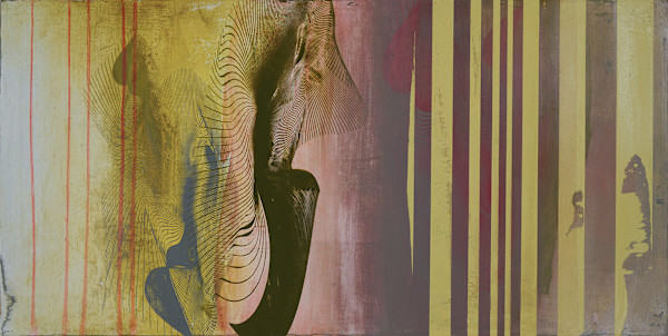 Lillium by Dorothea Van Camp