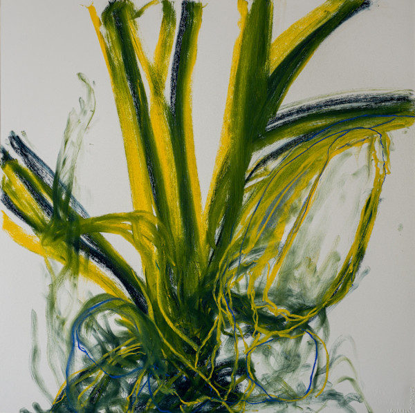 Botanical 1 by Ruth Fields