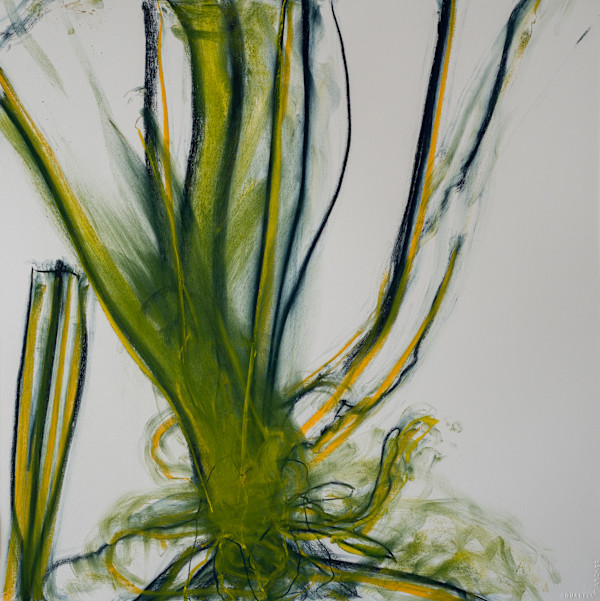 Botanical 2 by Ruth Fields