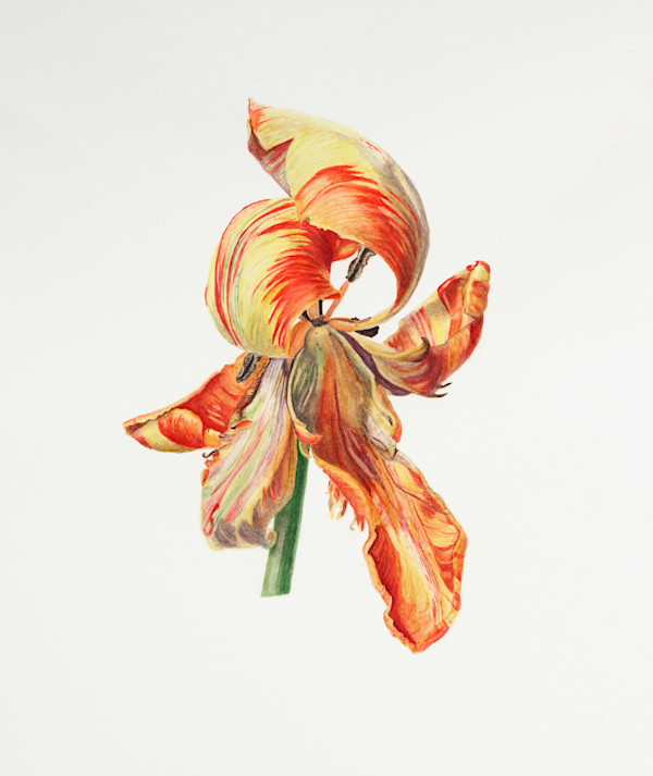 Last Dance by Diane Piktialis