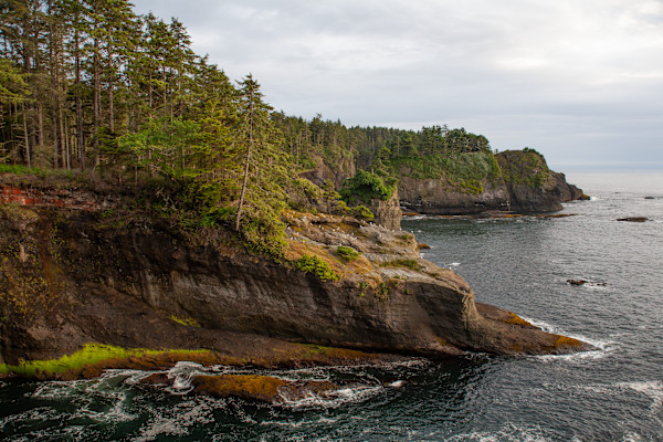 Cape Flattery by W. Benjamin Bray