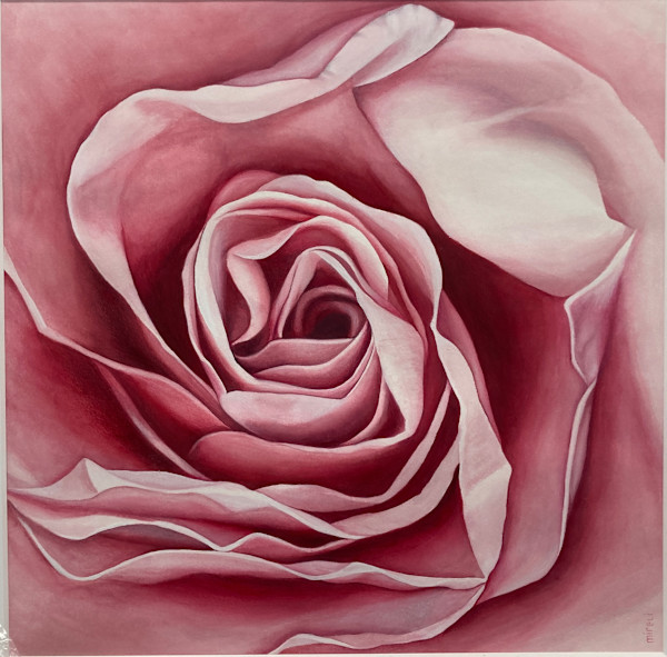 Rose-2 by Miriam Bucheli