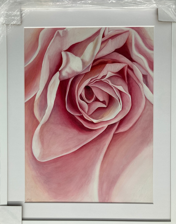 Rose-1 by Miriam Bucheli