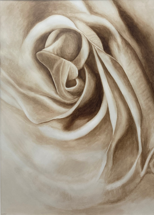 Rose-3 by Miriam Bucheli