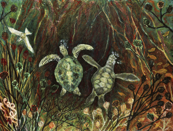 Two Turtles by Julie C Baer