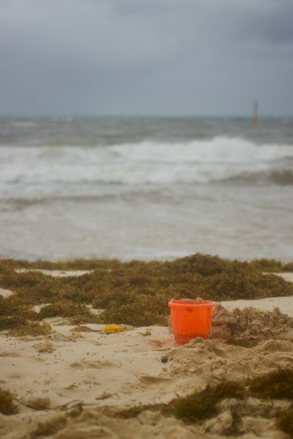 Bucket by Lisa Tang Liu