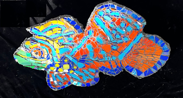 Mandarinfish by Cassie Doyon
