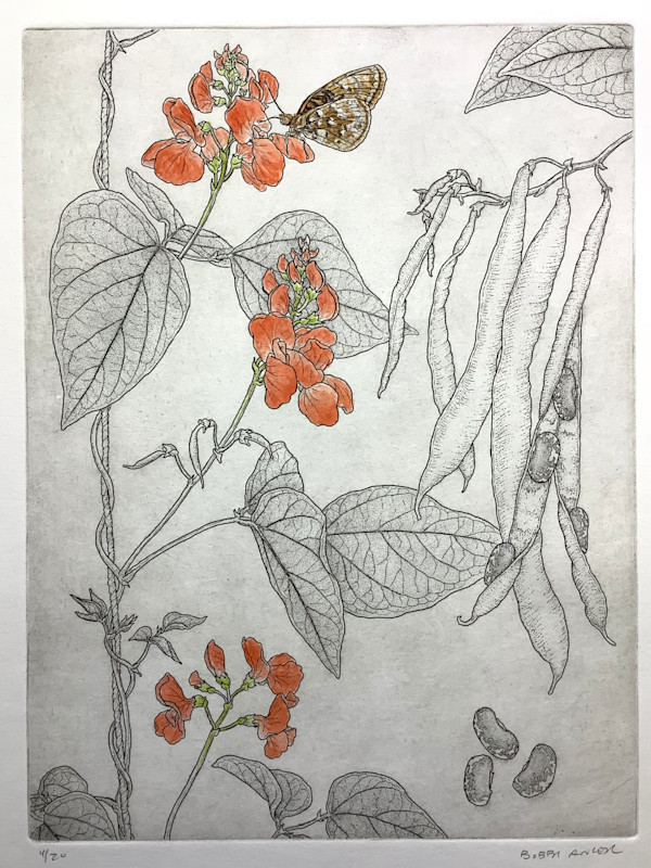 Scarlet Runner Bean by Bobbi Angell