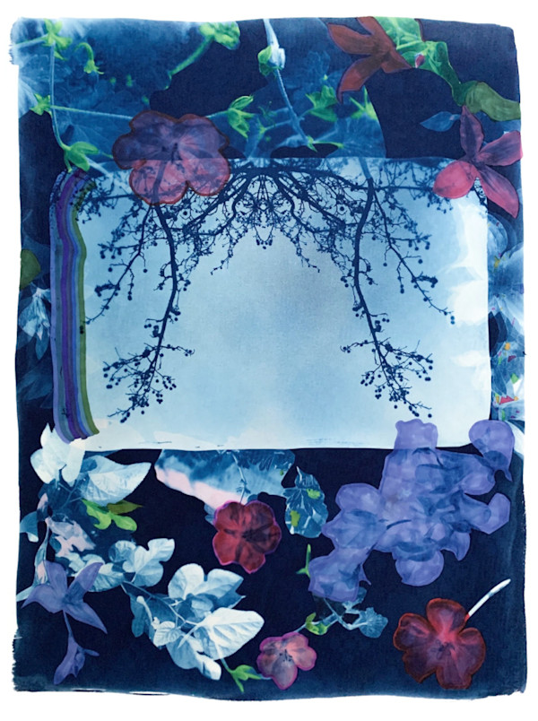 Veil 3 by Susan Murie