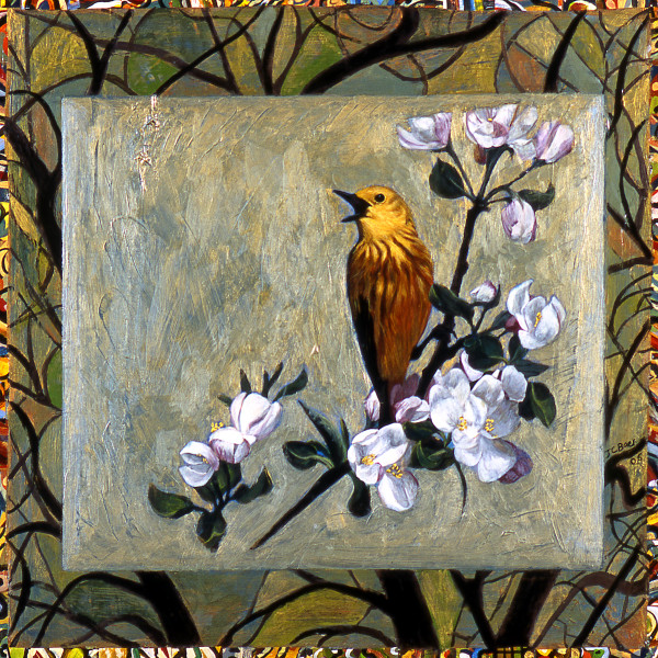 Yellow Warbler by Julie C Baer