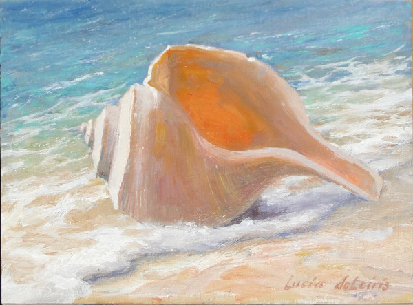 Conch Shell in Surf