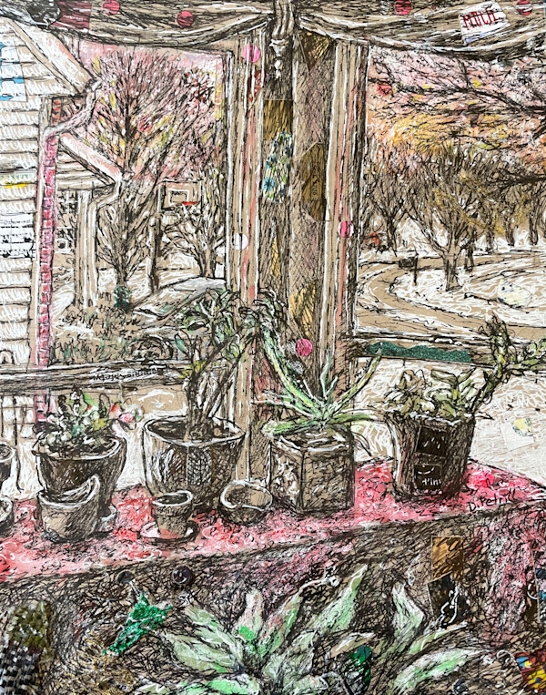 Where the Plants Live by Dawn Petrill