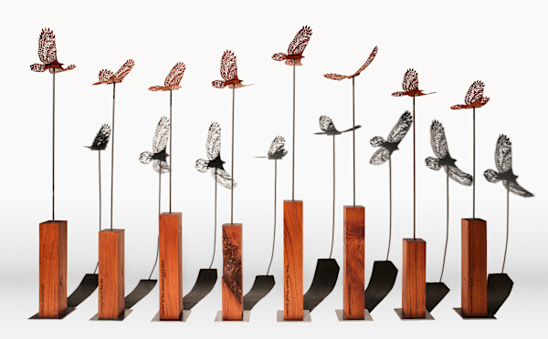 Flight Pattern by Nicki Adani