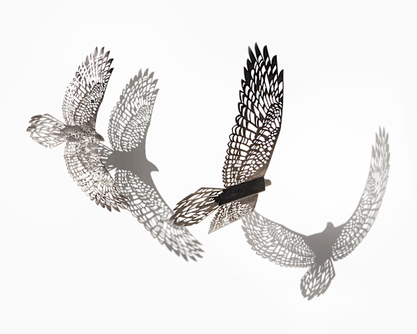 Bird's Eye View - Wind; hanging set by Nicki Adani, Image 2.
