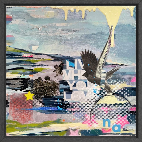 Live Where You Love by Nicki Adani