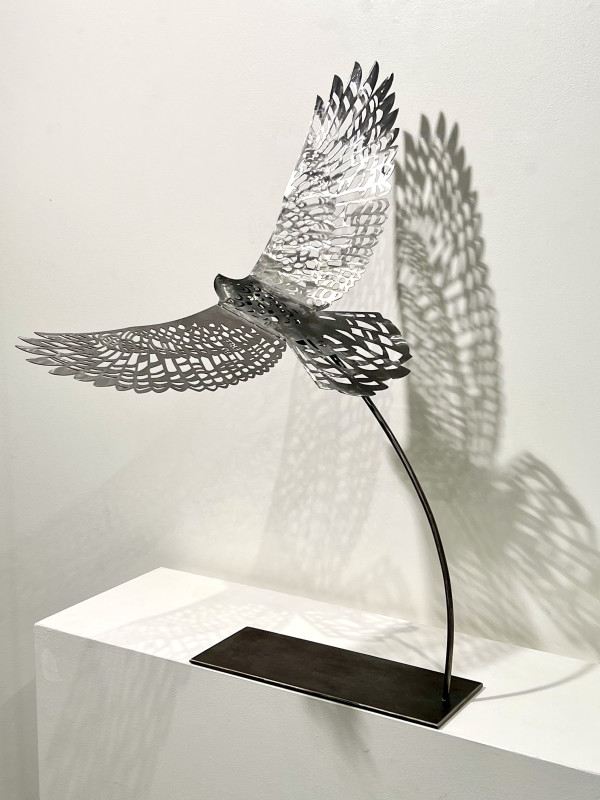 Shifting Perspectives #2 by Nicki Adani